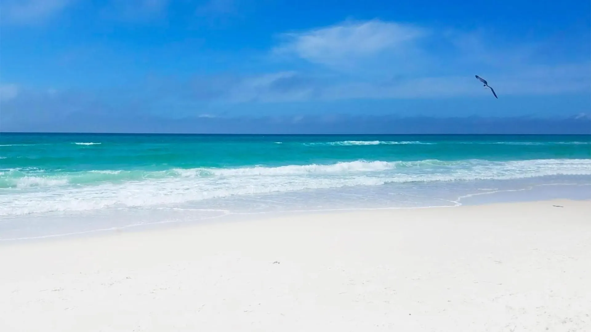 Tidewater 1810 Villa Panama City Beach